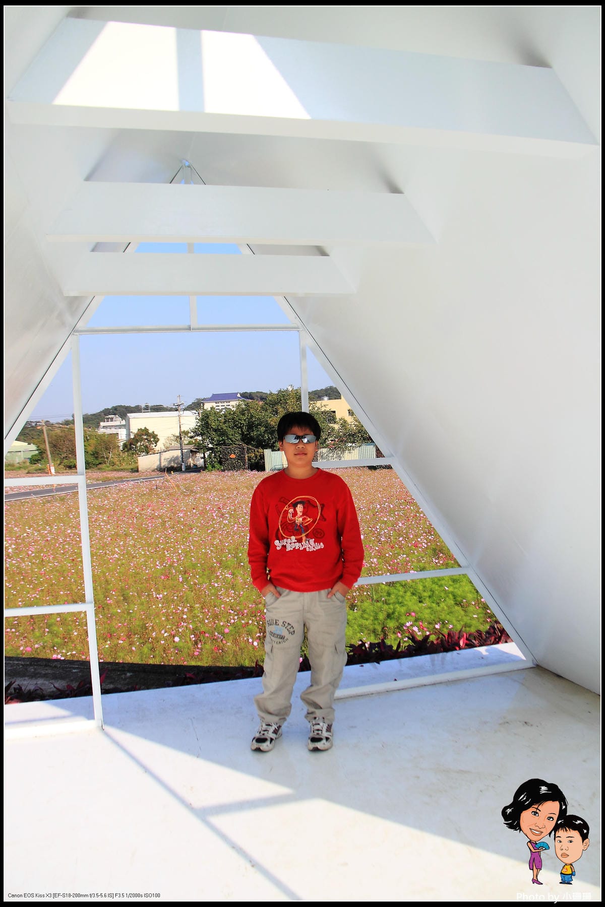 《遊記—桃園》蘆竹幸福花海祭