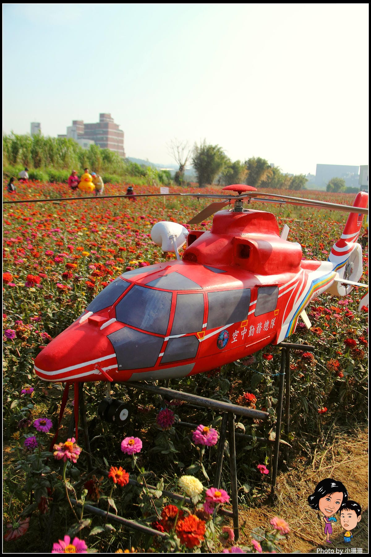 《遊記—桃園》蘆竹幸福花海祭