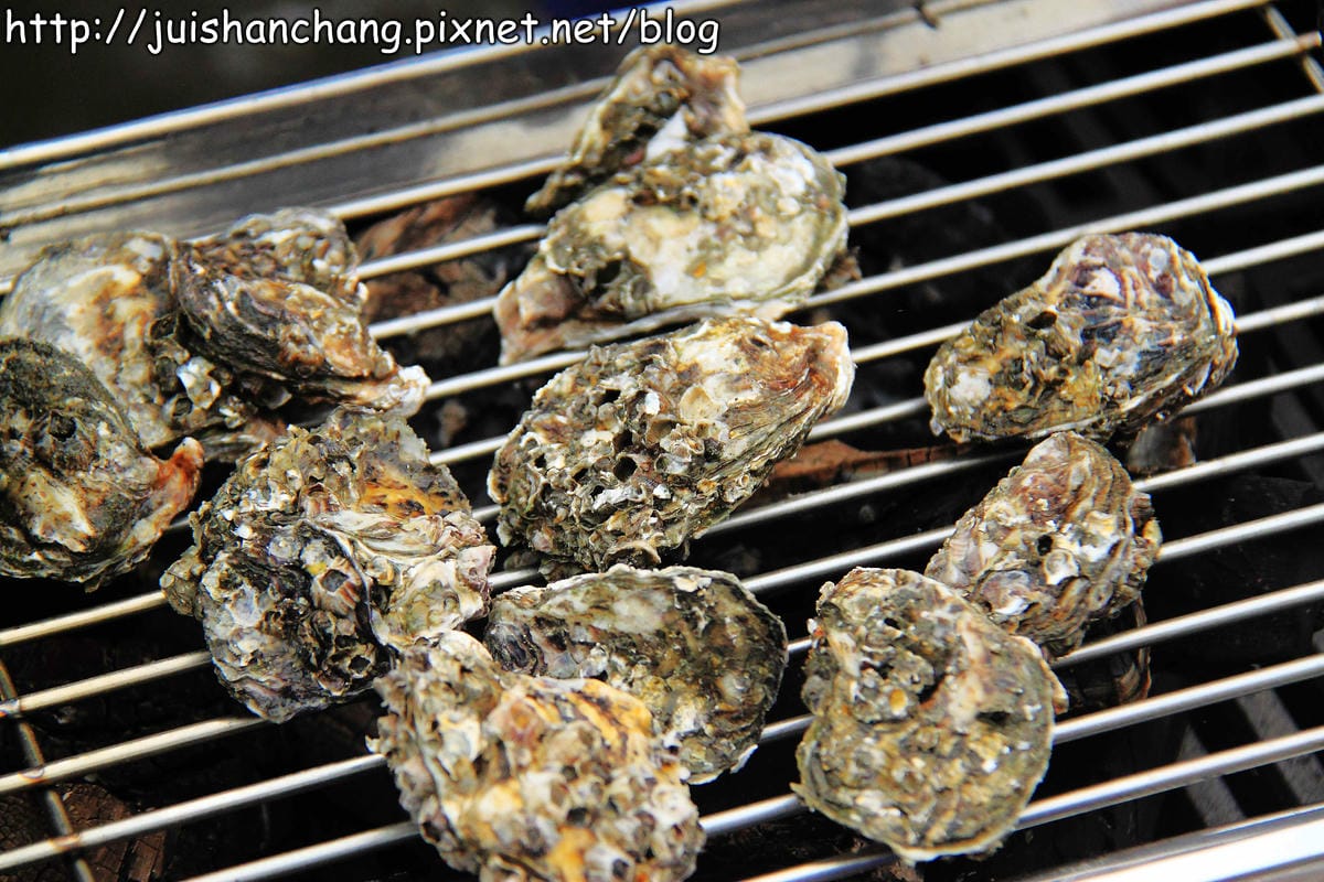 【遊。彰化】番挖海牛車隊～坐牛車採蚵趣！