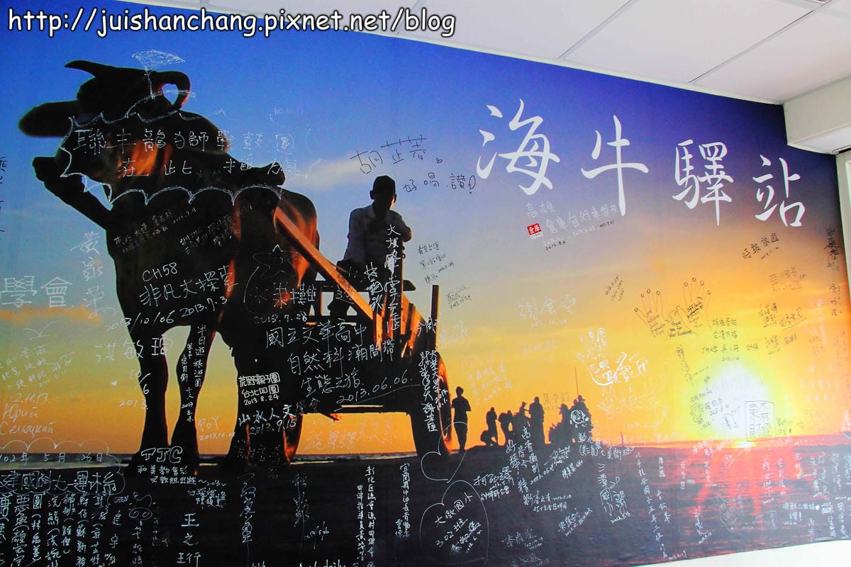 【遊。彰化】番挖海牛車隊～坐牛車採蚵趣！