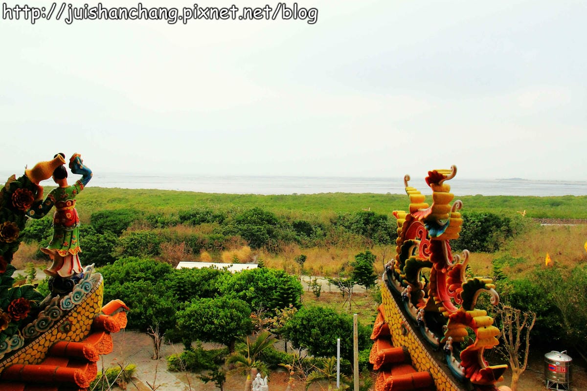 【遊。彰化】番挖海牛車隊～坐牛車採蚵趣！