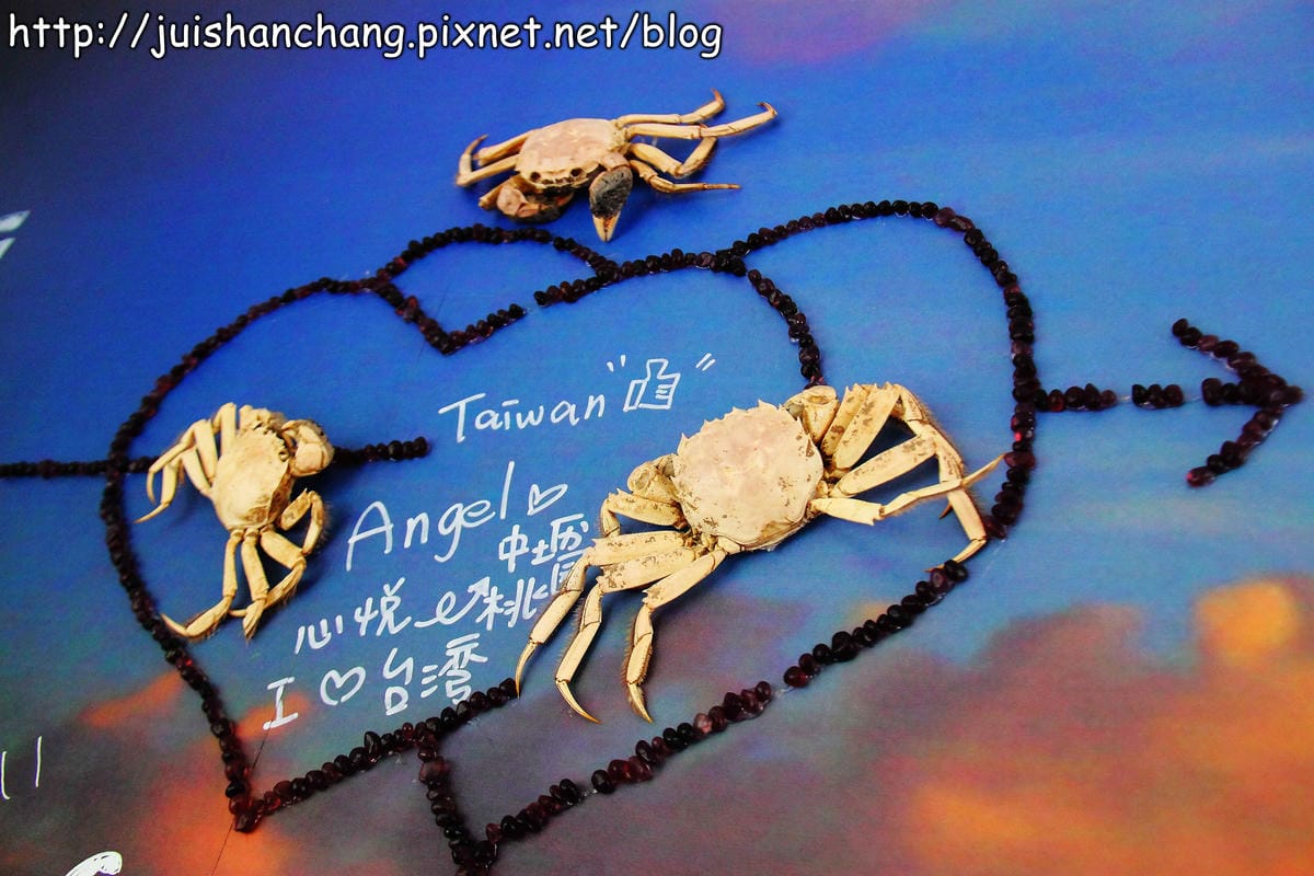 【遊。彰化】番挖海牛車隊～坐牛車採蚵趣！