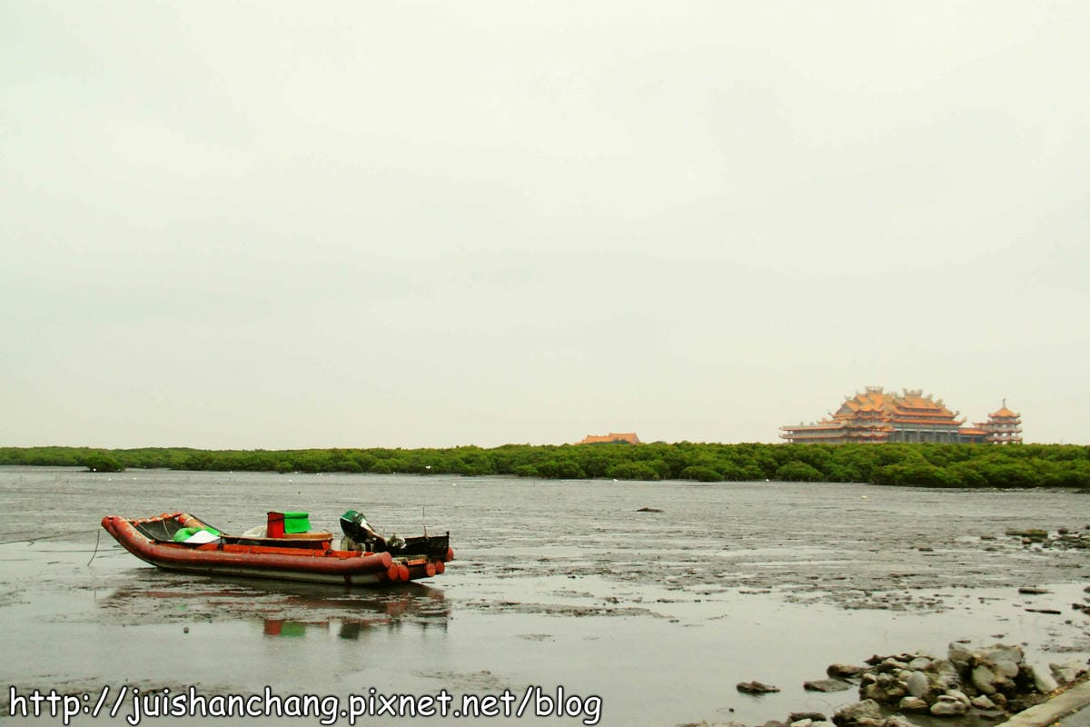 【遊。彰化】番挖海牛車隊～坐牛車採蚵趣！