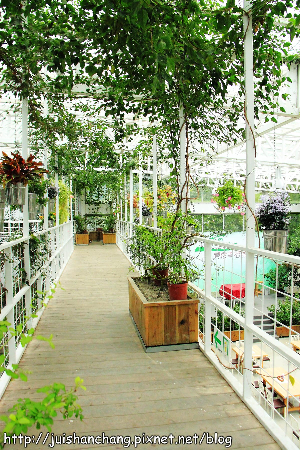 《遊記—宜蘭》香草菲菲～漫步香草玻璃屋深～深～森呼吸～