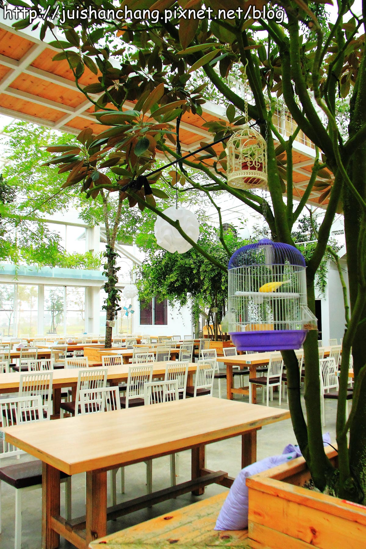 《遊記—宜蘭》香草菲菲～漫步香草玻璃屋深～深～森呼吸～