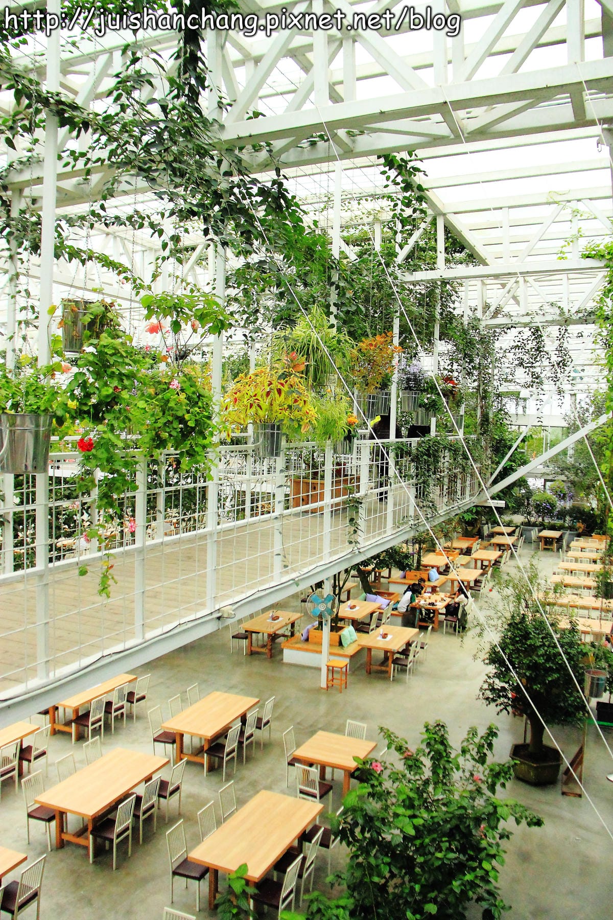 《遊記—宜蘭》香草菲菲～漫步香草玻璃屋深～深～森呼吸～