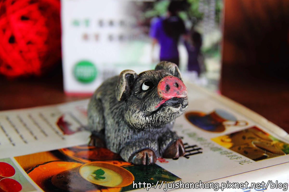 《食記—台中》小豚輕食Kobuta brunch～等再久也甘願的超級平價夢幻鬆餅！