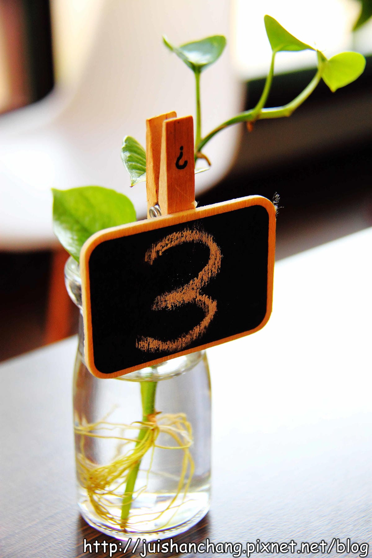 《食記—台中》小豚輕食Kobuta brunch～等再久也甘願的超級平價夢幻鬆餅！