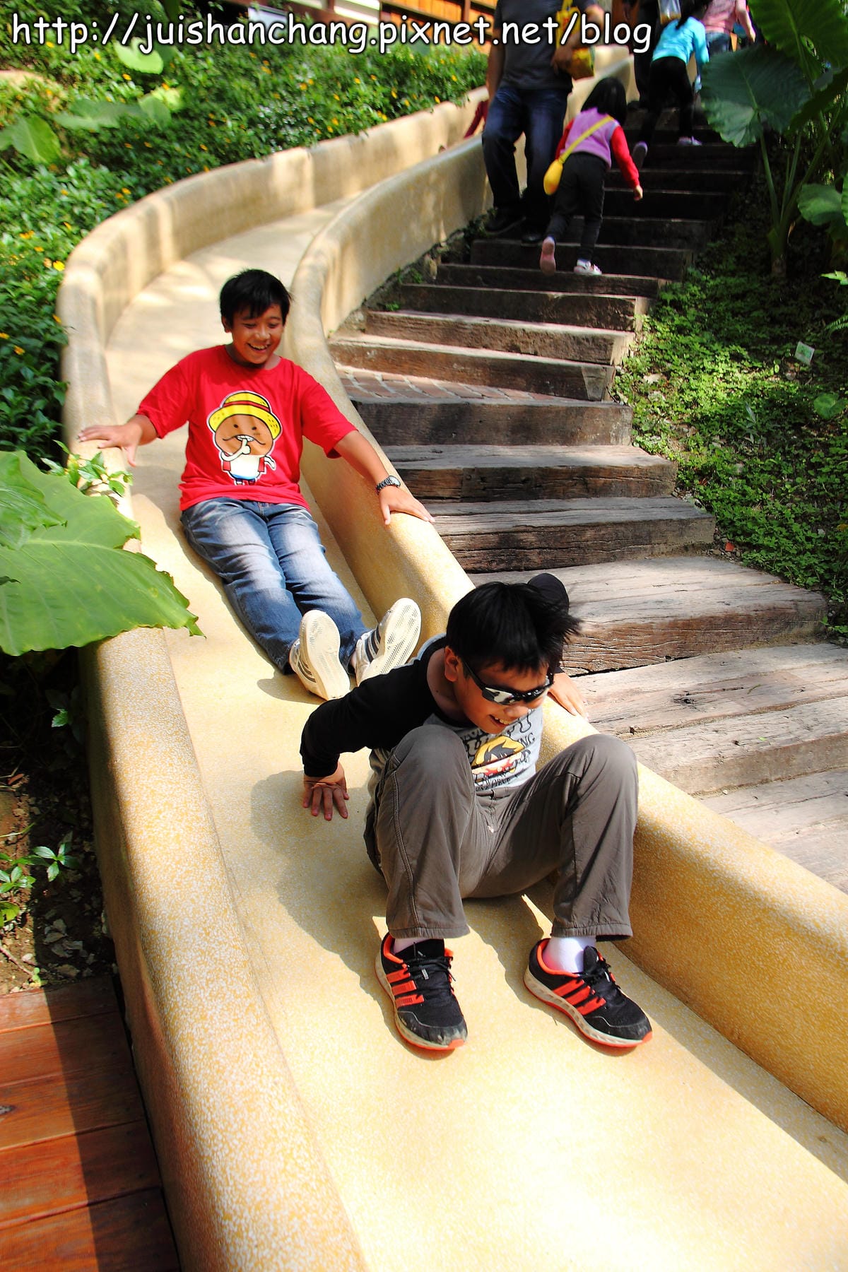 《遊記—新竹新埔》森林鳥花園～戶外親子花園賞鳥趣(已歇業)