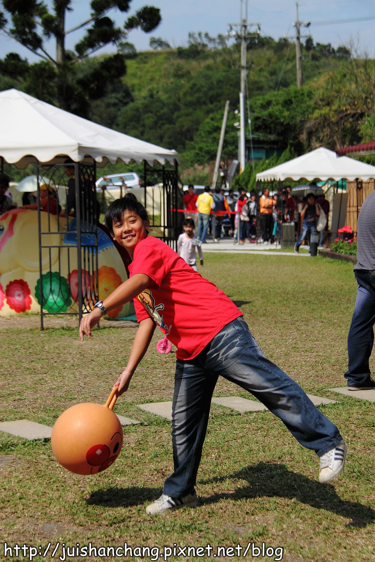 《遊記—新竹新埔》森林鳥花園～戶外親子花園賞鳥趣(已歇業)
