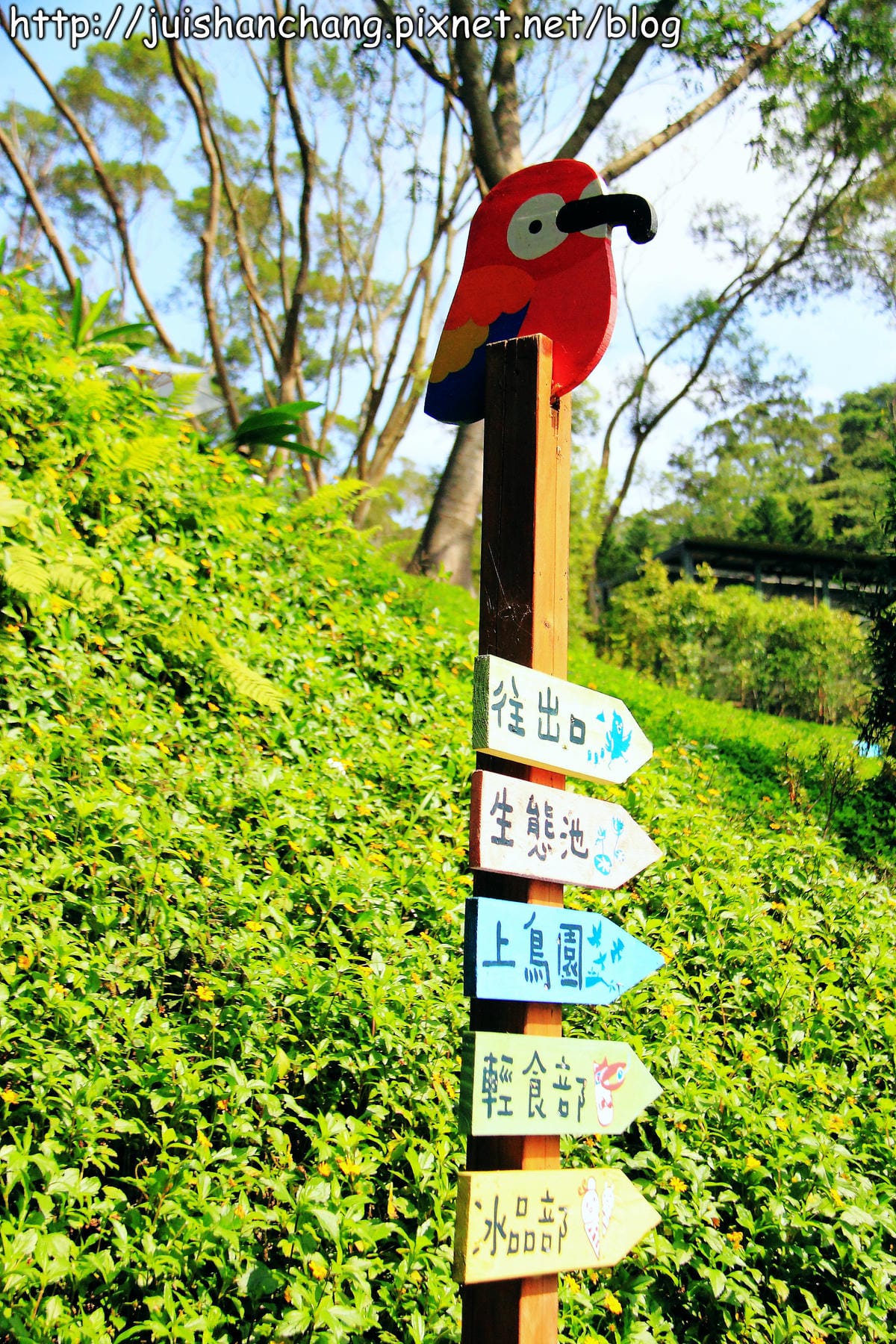 《遊記—新竹新埔》森林鳥花園～戶外親子花園賞鳥趣(已歇業)