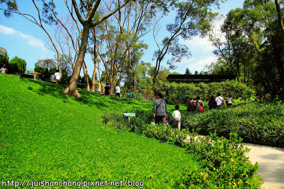 《遊記—新竹新埔》森林鳥花園～戶外親子花園賞鳥趣(已歇業)