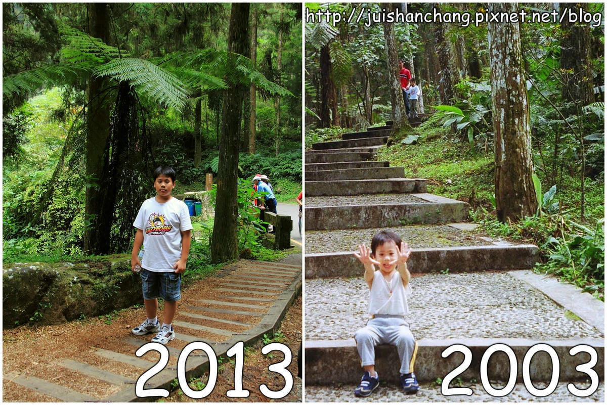 《遊記—南投》溪頭森林遊樂區～與大自然來一場零距離的邂逅吧！