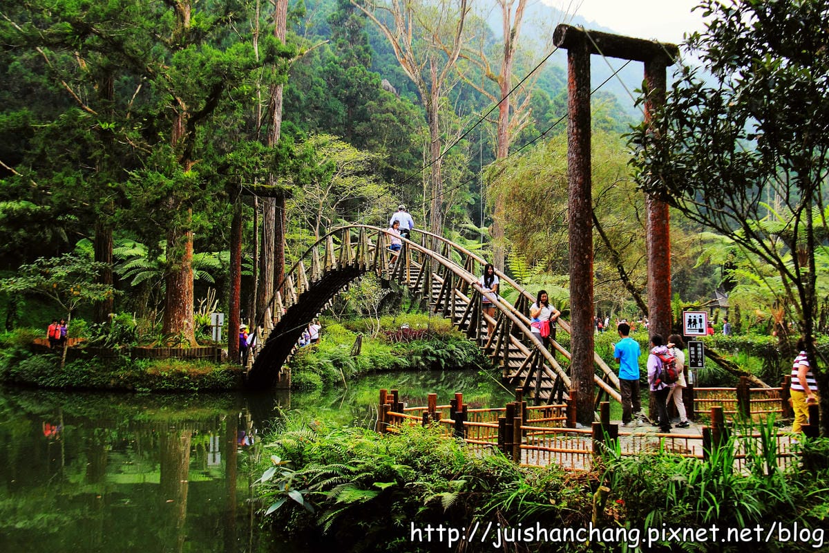 《遊記—南投》溪頭森林遊樂區～與大自然來一場零距離的邂逅吧！