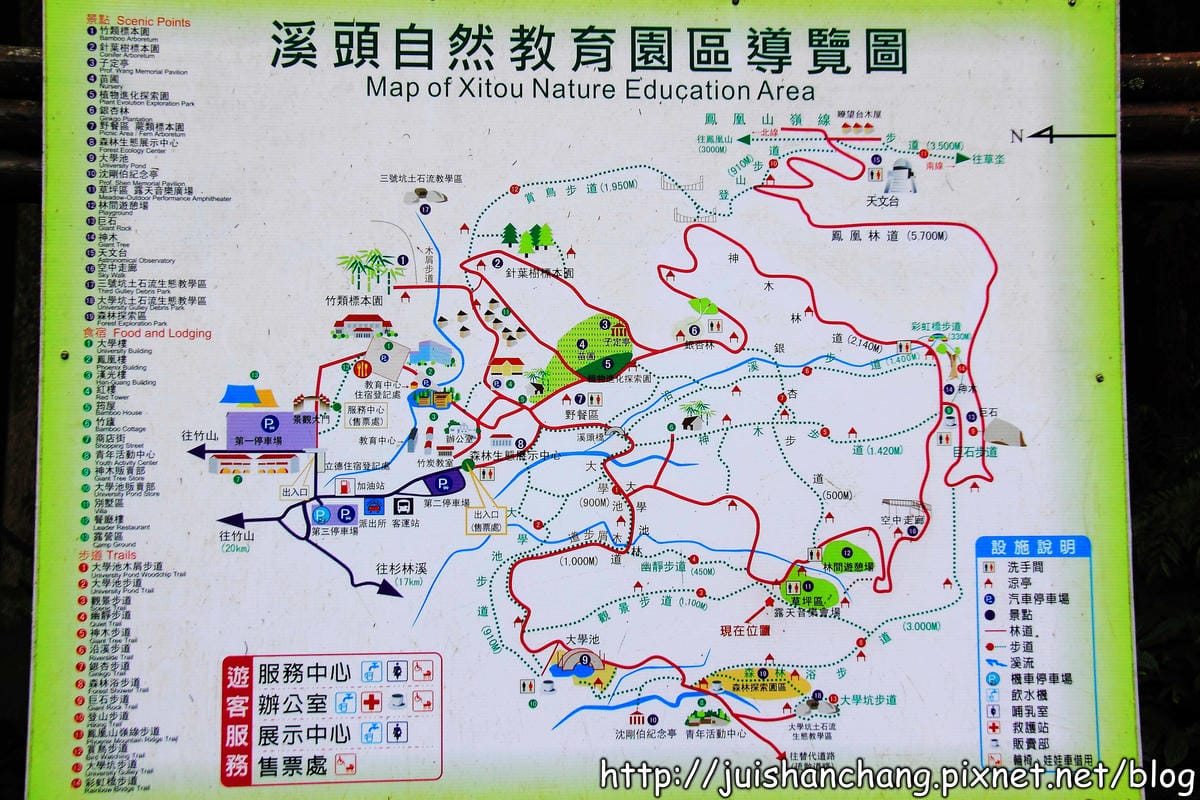 《遊記—南投》溪頭森林遊樂區～與大自然來一場零距離的邂逅吧！