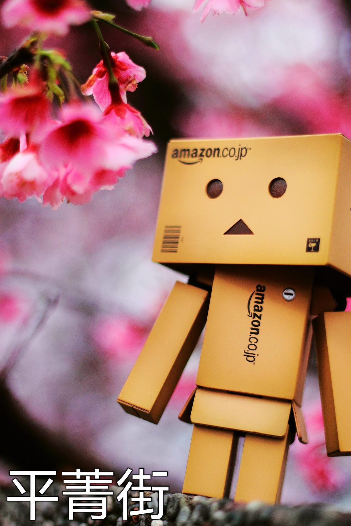 【遊記—南投．鹿谷】小半天石馬公園～河津櫻の粉色系浪漫綻放中！