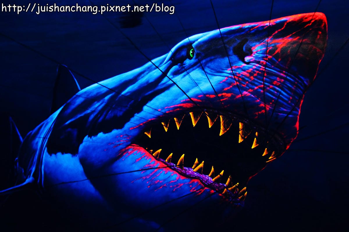 【遊記—台北】DARK ART．夜光3D藝術展～酷炫又好玩的魔幻體驗！