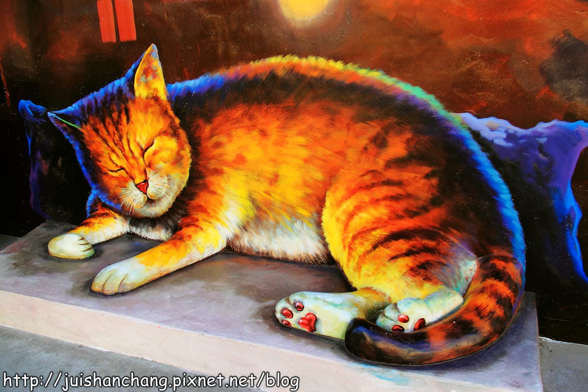 【遊記—雲林。虎尾】頂溪社區‧屋頂上的貓～一起來玩躲貓貓吧！