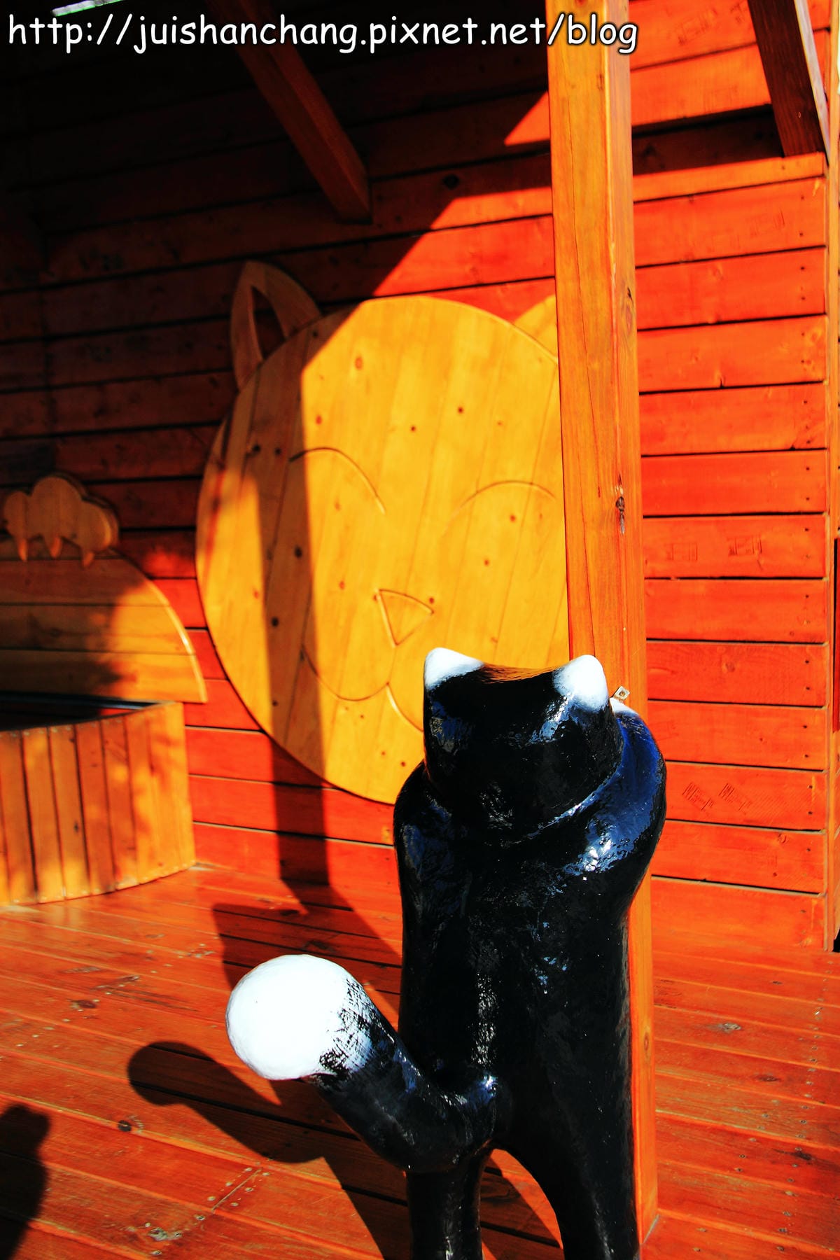 【遊記—雲林。虎尾】頂溪社區‧屋頂上的貓～一起來玩躲貓貓吧！