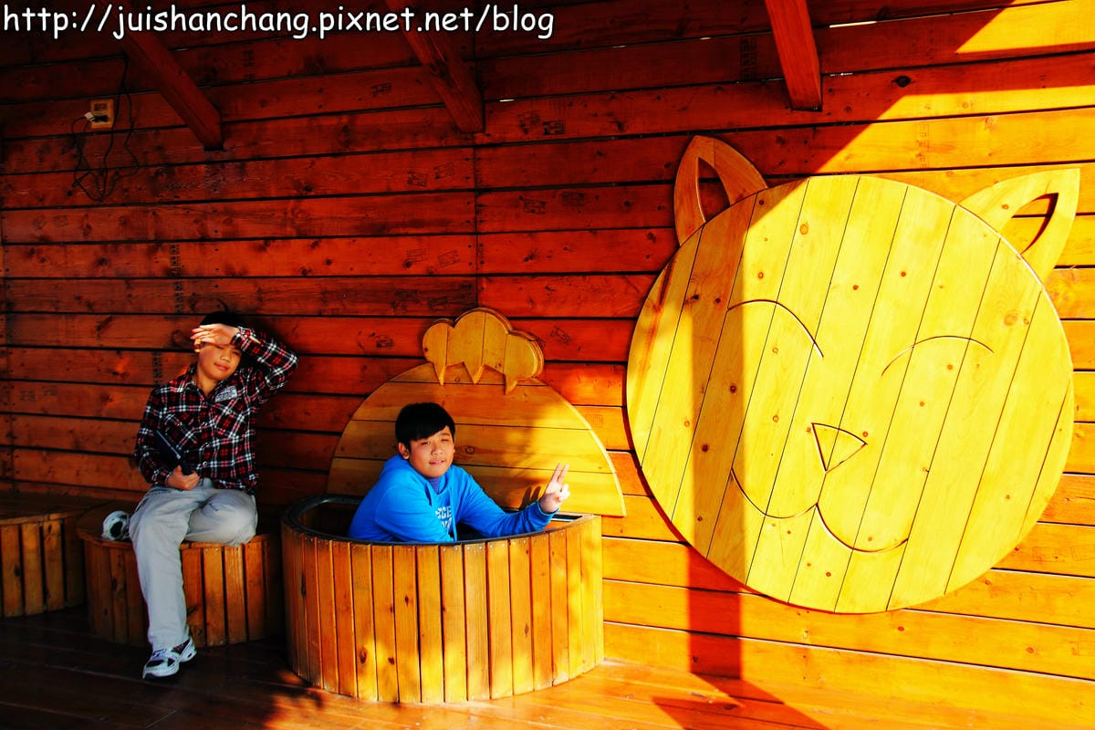 【遊記—雲林。虎尾】頂溪社區‧屋頂上的貓～一起來玩躲貓貓吧！