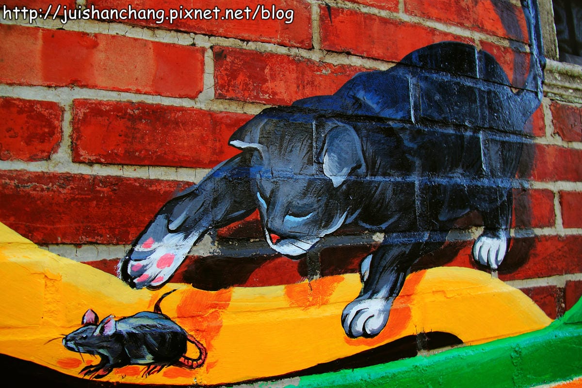 【遊記—雲林。虎尾】頂溪社區‧屋頂上的貓～一起來玩躲貓貓吧！