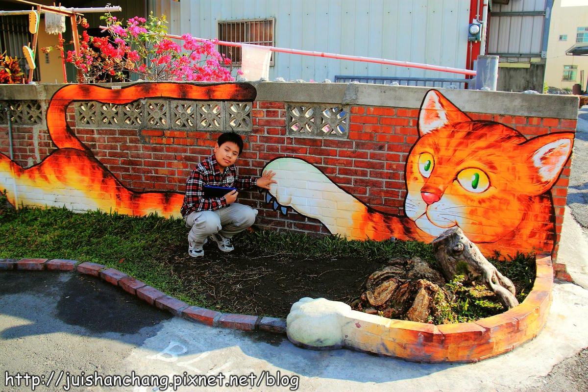 【遊記—雲林。虎尾】頂溪社區‧屋頂上的貓～一起來玩躲貓貓吧！