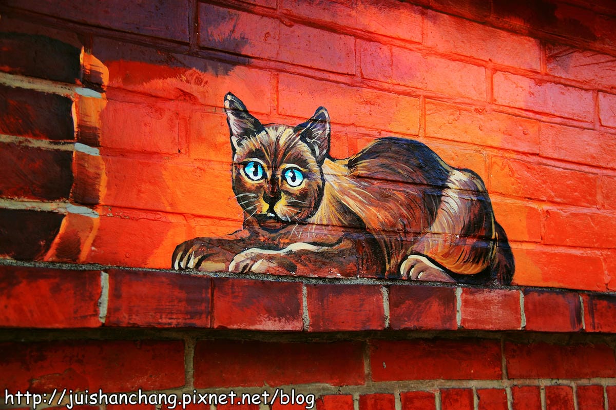 【遊記—雲林。虎尾】頂溪社區‧屋頂上的貓～一起來玩躲貓貓吧！