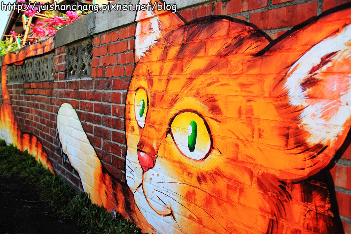 【遊記—雲林。虎尾】頂溪社區‧屋頂上的貓～一起來玩躲貓貓吧！