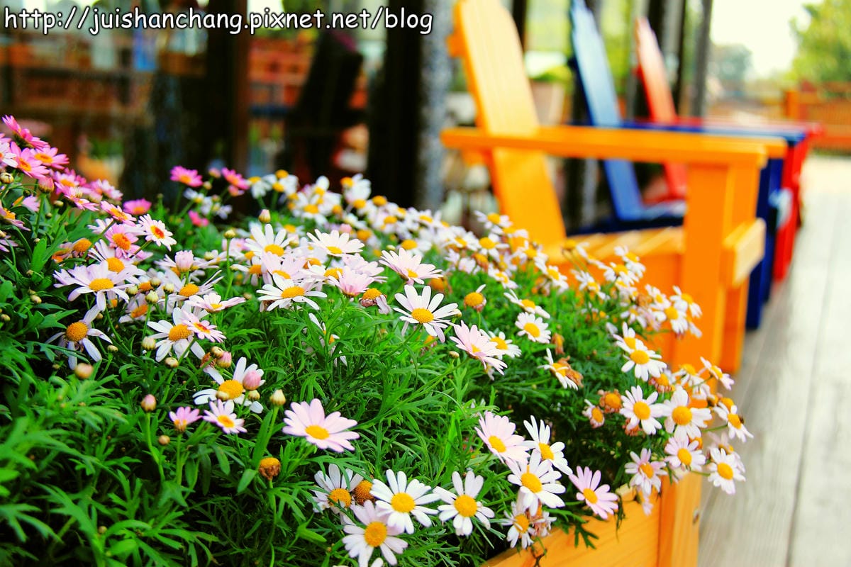 【廣宣—台中后里】星月大地景觀餐廳~大手牽小手來去峇里島?! - 第11張圖 【廣宣—台中后里】星月大地景觀餐廳~大手牽小手來去峇里島?!