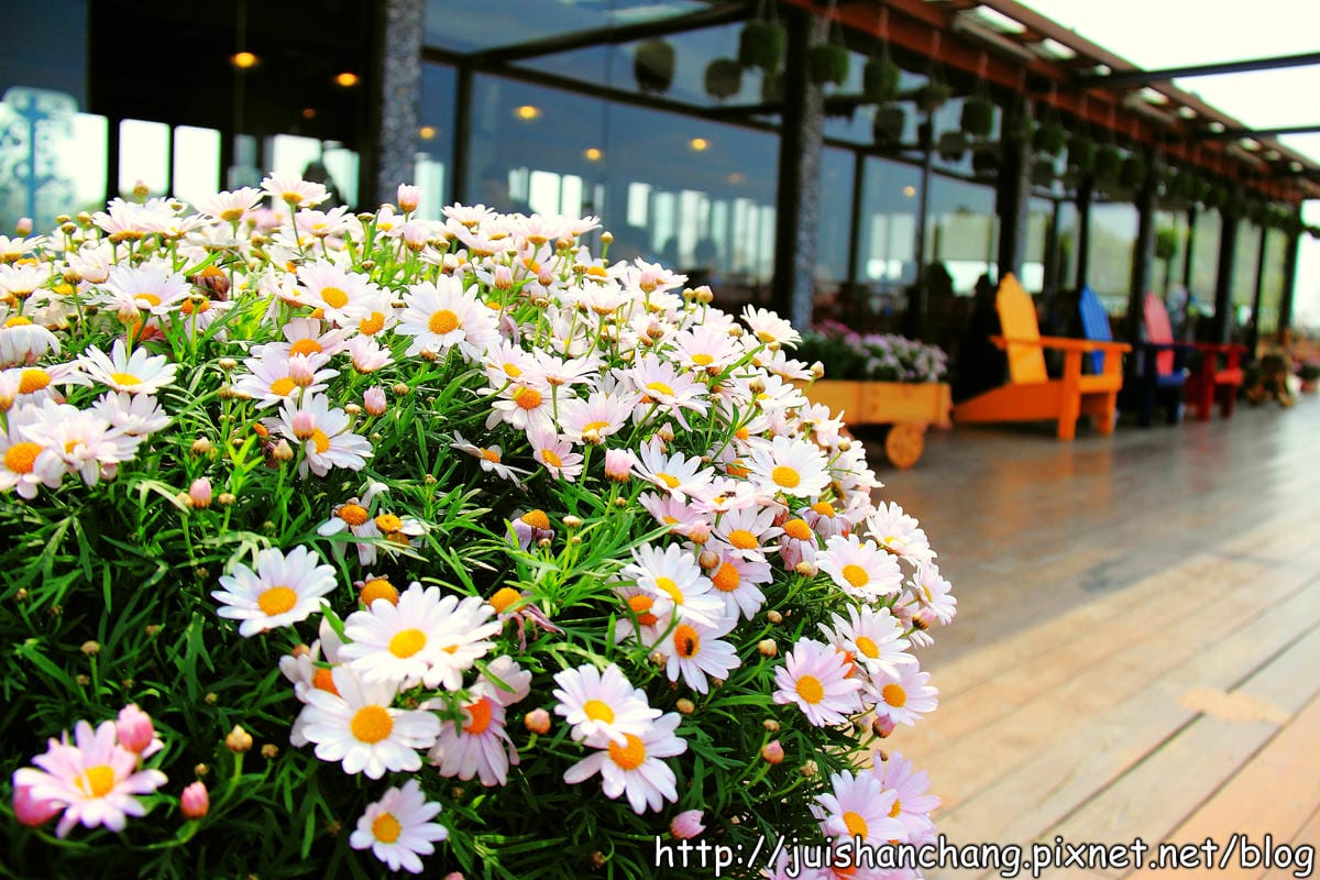 【廣宣—台中后里】星月大地景觀餐廳～大手牽小手來去峇里島？！　