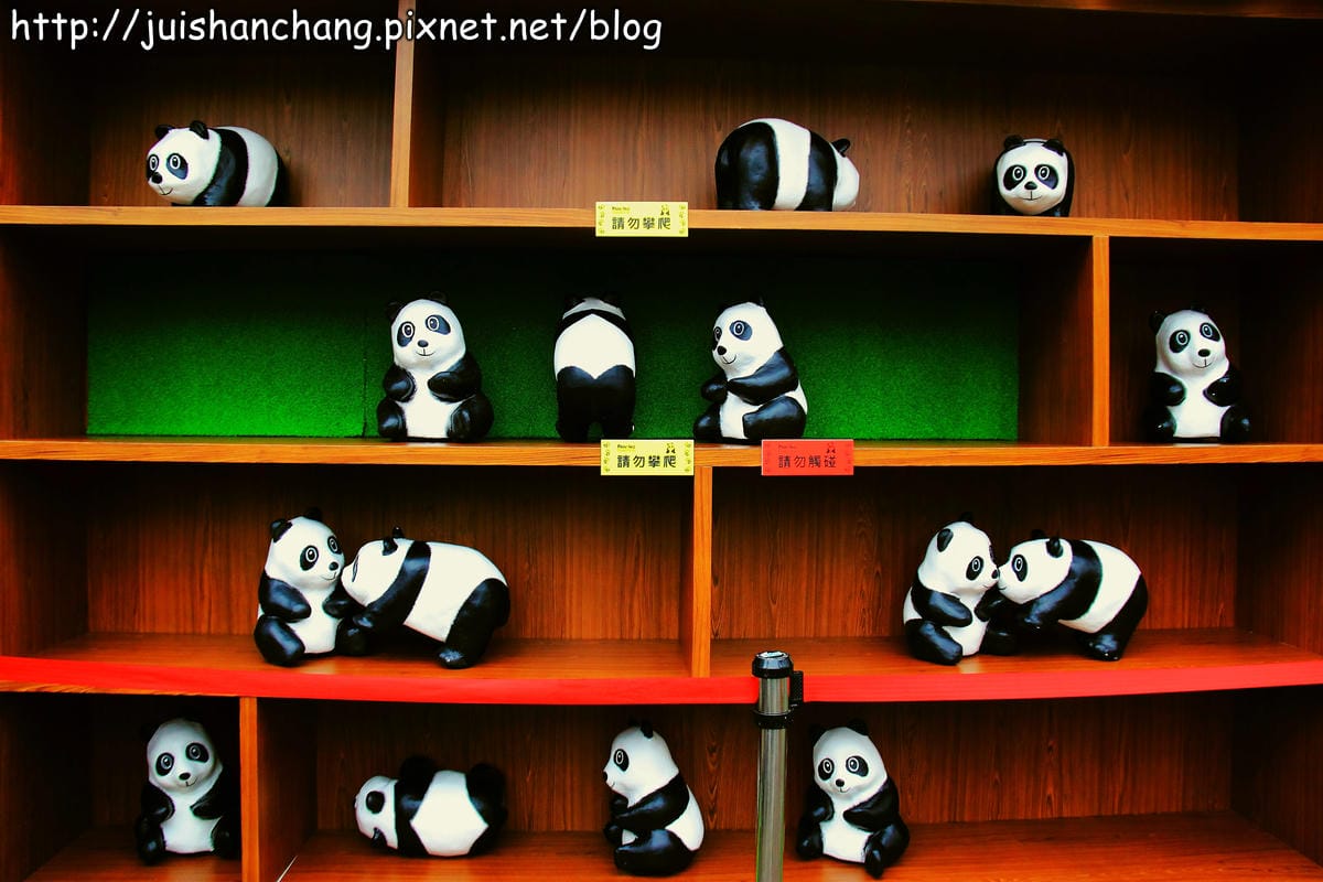 【遊記—台北】紙貓熊展，1600貓熊世界之旅～貓熊夜未眠？！　