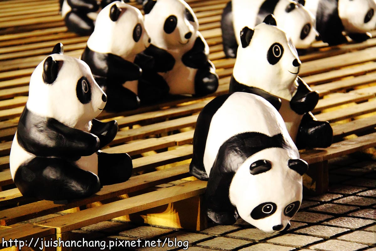 【遊記—台北】紙貓熊展，1600貓熊世界之旅～貓熊夜未眠？！　