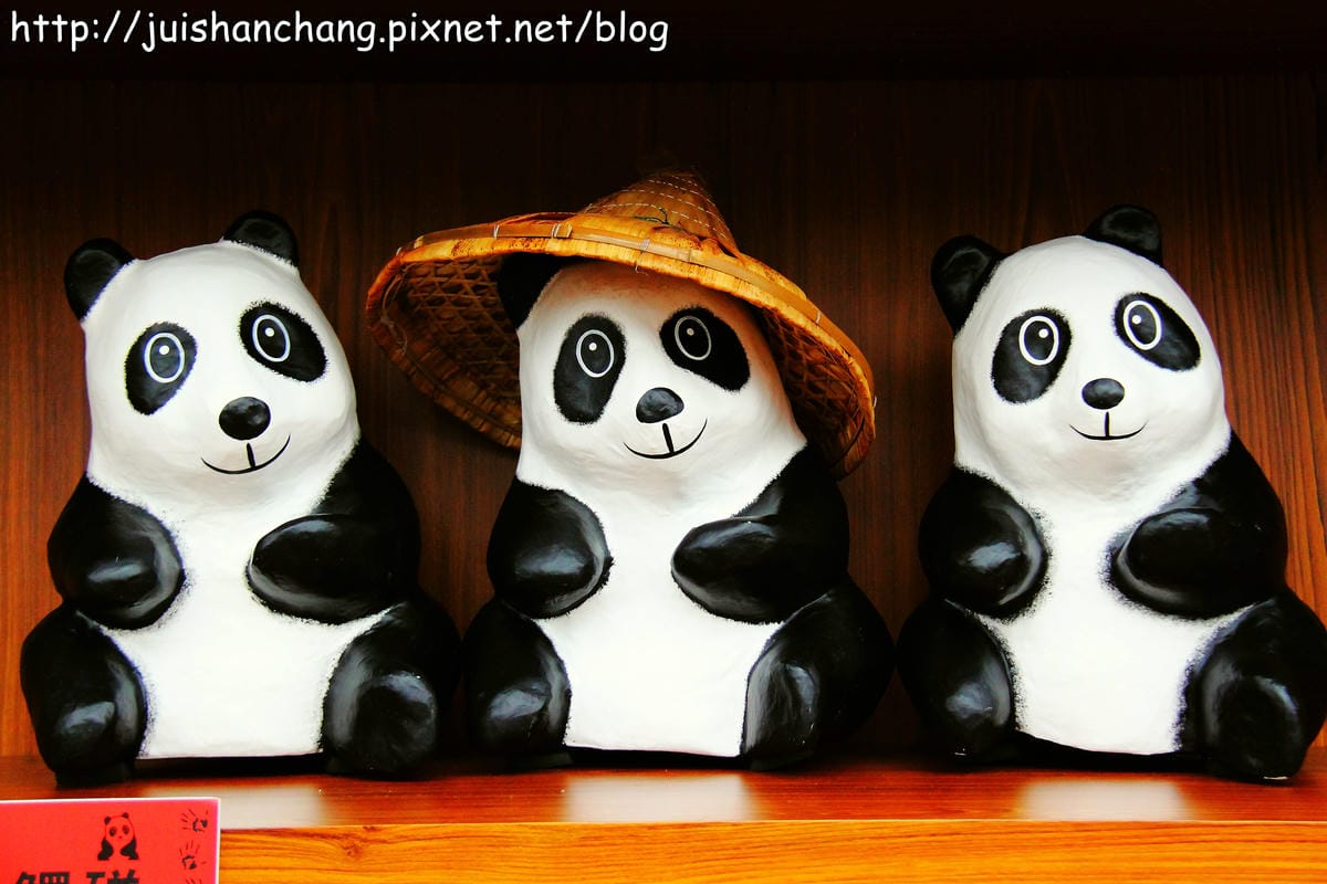 【遊記—台北】紙貓熊展，1600貓熊世界之旅～貓熊夜未眠？！　