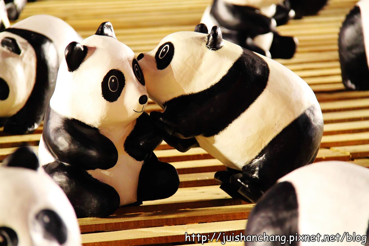 【遊記—台北】紙貓熊展，1600貓熊世界之旅～貓熊夜未眠？！　