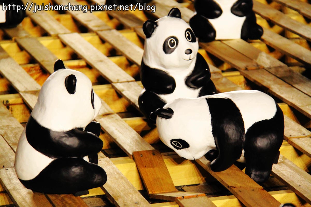 【遊記—台北】紙貓熊展，1600貓熊世界之旅～貓熊夜未眠？！　