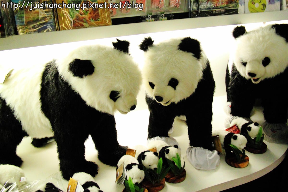 【遊記—台北】臺北市立木柵動物園～圓仔的日記