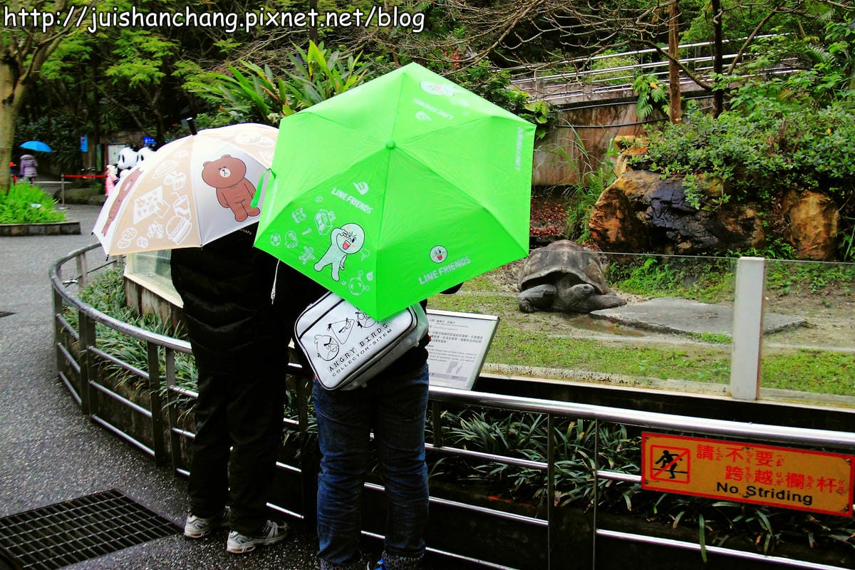 【遊記—台北】臺北市立木柵動物園～圓仔的日記