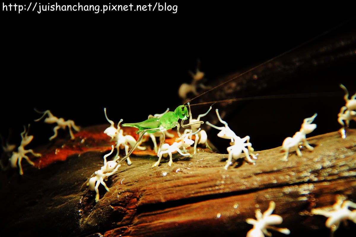【遊記—彰化鹿港】台灣玻璃館～與世界獨一無二玻璃廟