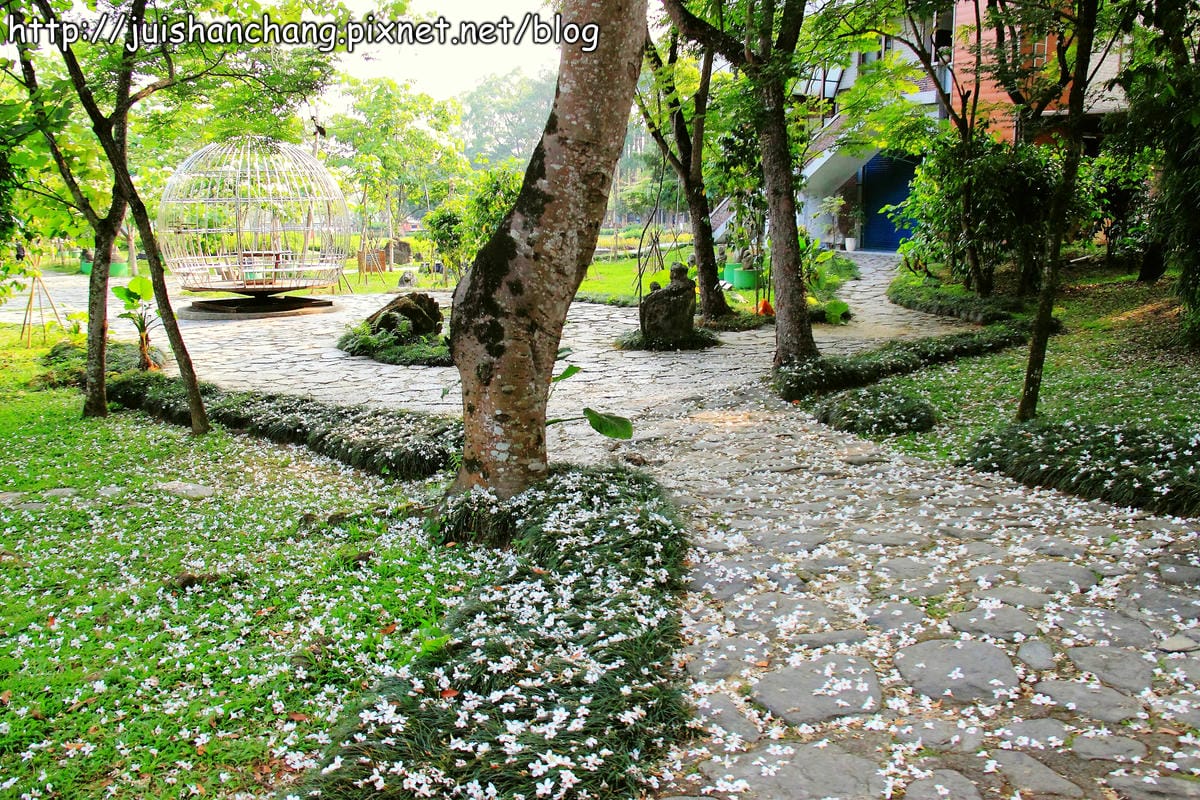 【廣宣—南投埔里】牛耳藝術渡假村～初夏最浪漫的四月雪