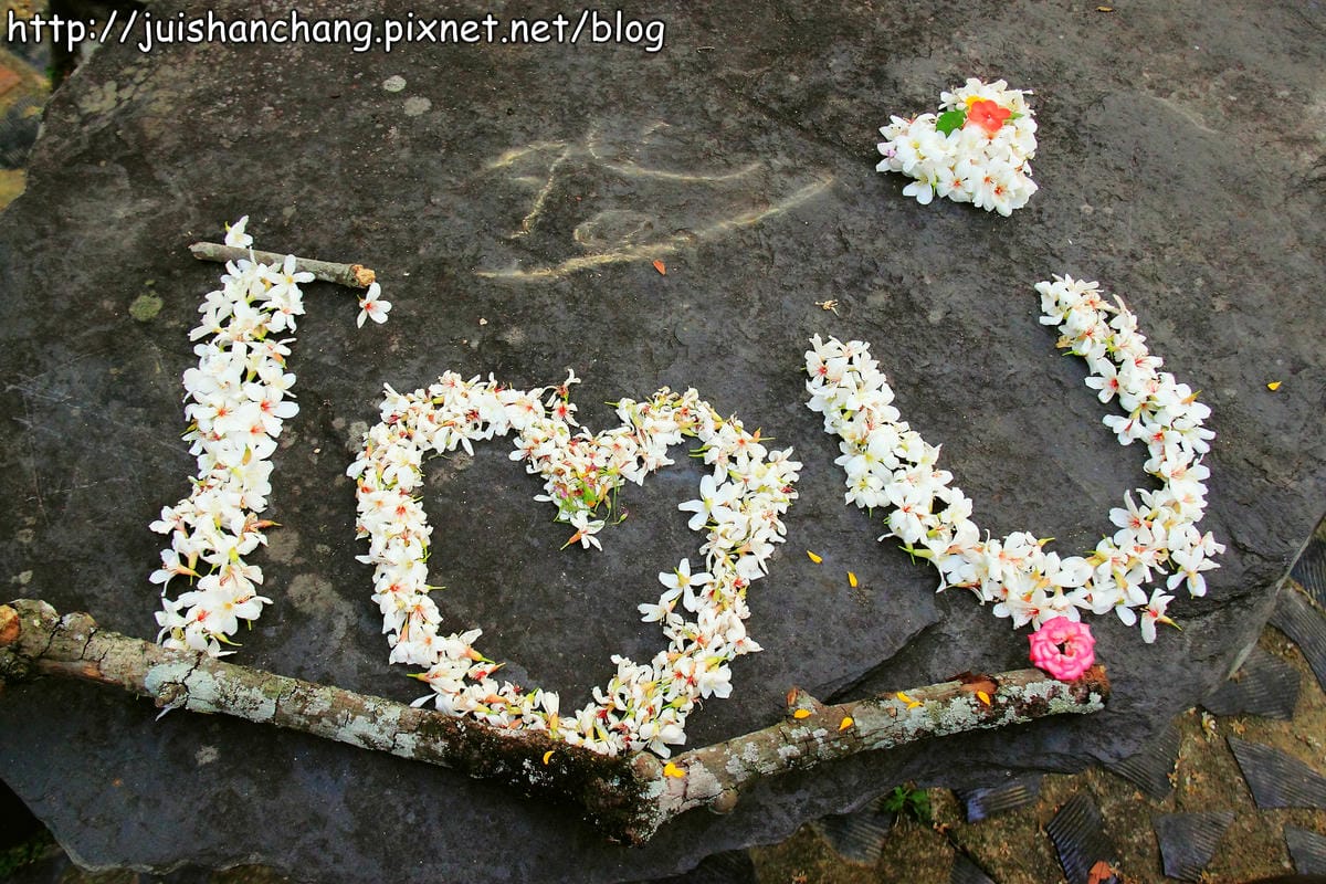 【廣宣—南投埔里】牛耳藝術渡假村～初夏最浪漫的四月雪