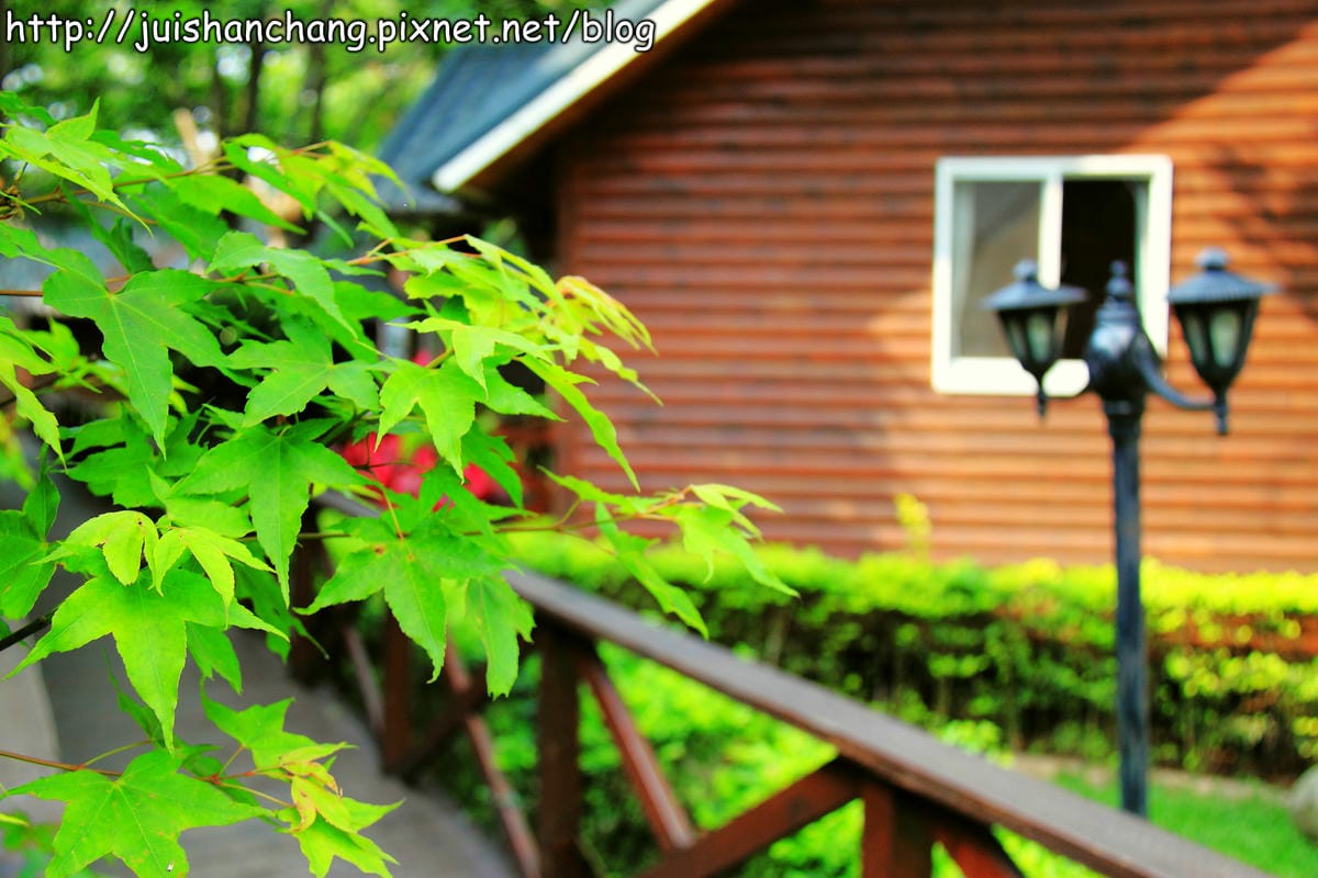 【廣宣—南投埔里】牛耳藝術渡假村～初夏最浪漫的四月雪