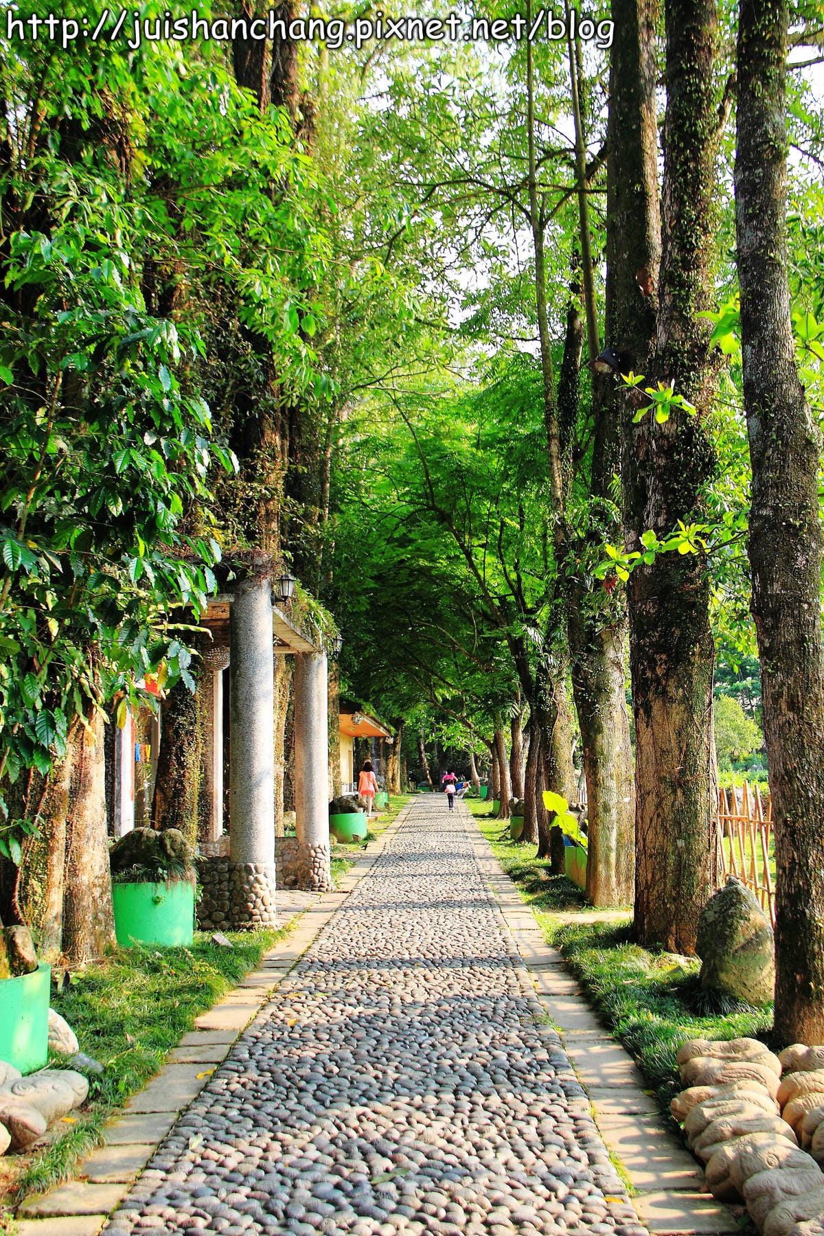 【廣宣—南投埔里】牛耳藝術渡假村～初夏最浪漫的四月雪