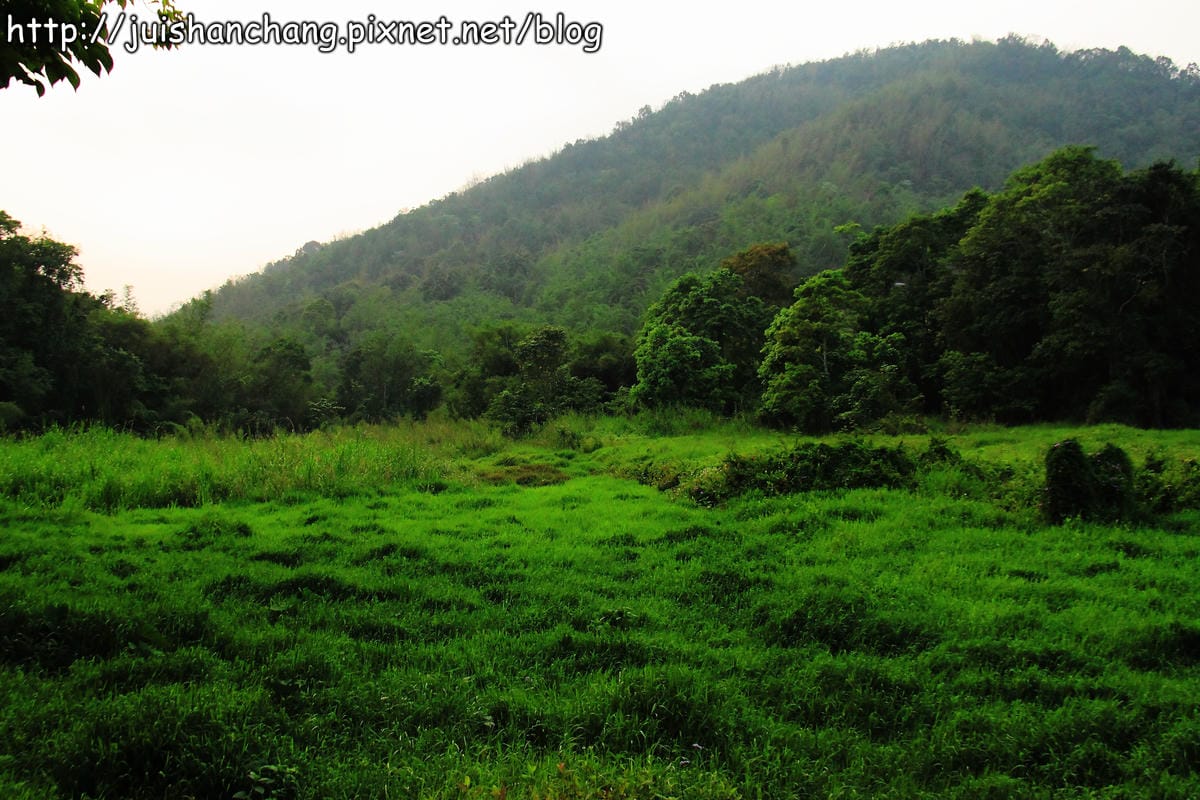 【遊記—2014全台螢火蟲季】牛伯伯生態蝴蝶園VS草湳濕地～螢光趴踢攤！