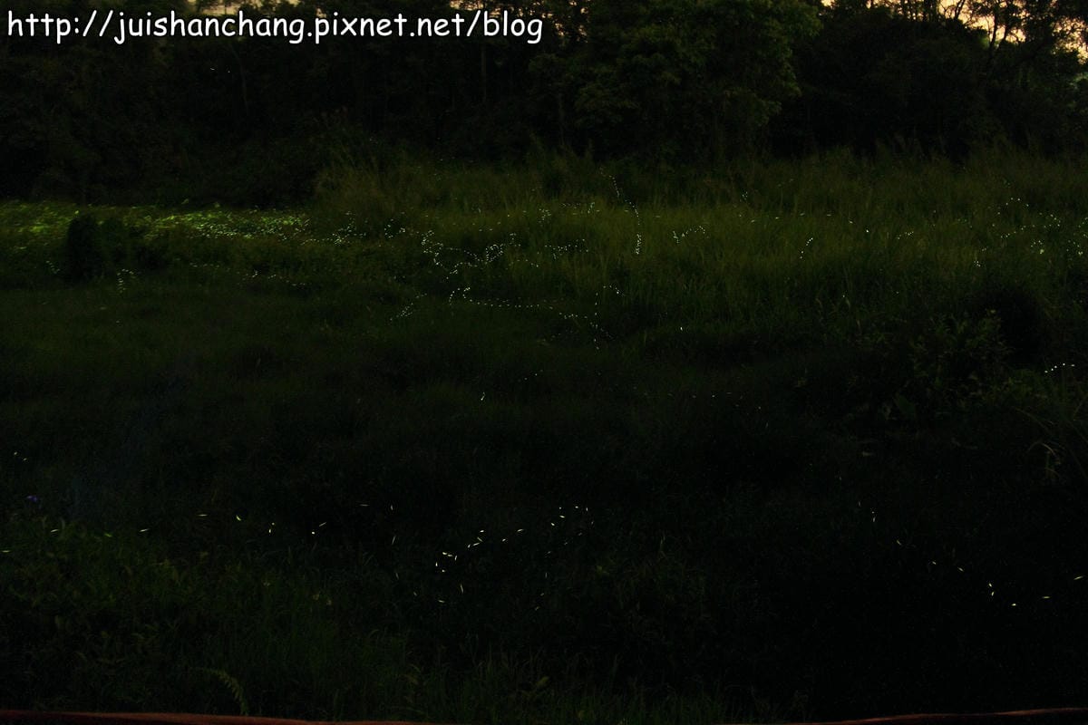 【遊記—2014全台螢火蟲季】牛伯伯生態蝴蝶園VS草湳濕地～螢光趴踢攤！