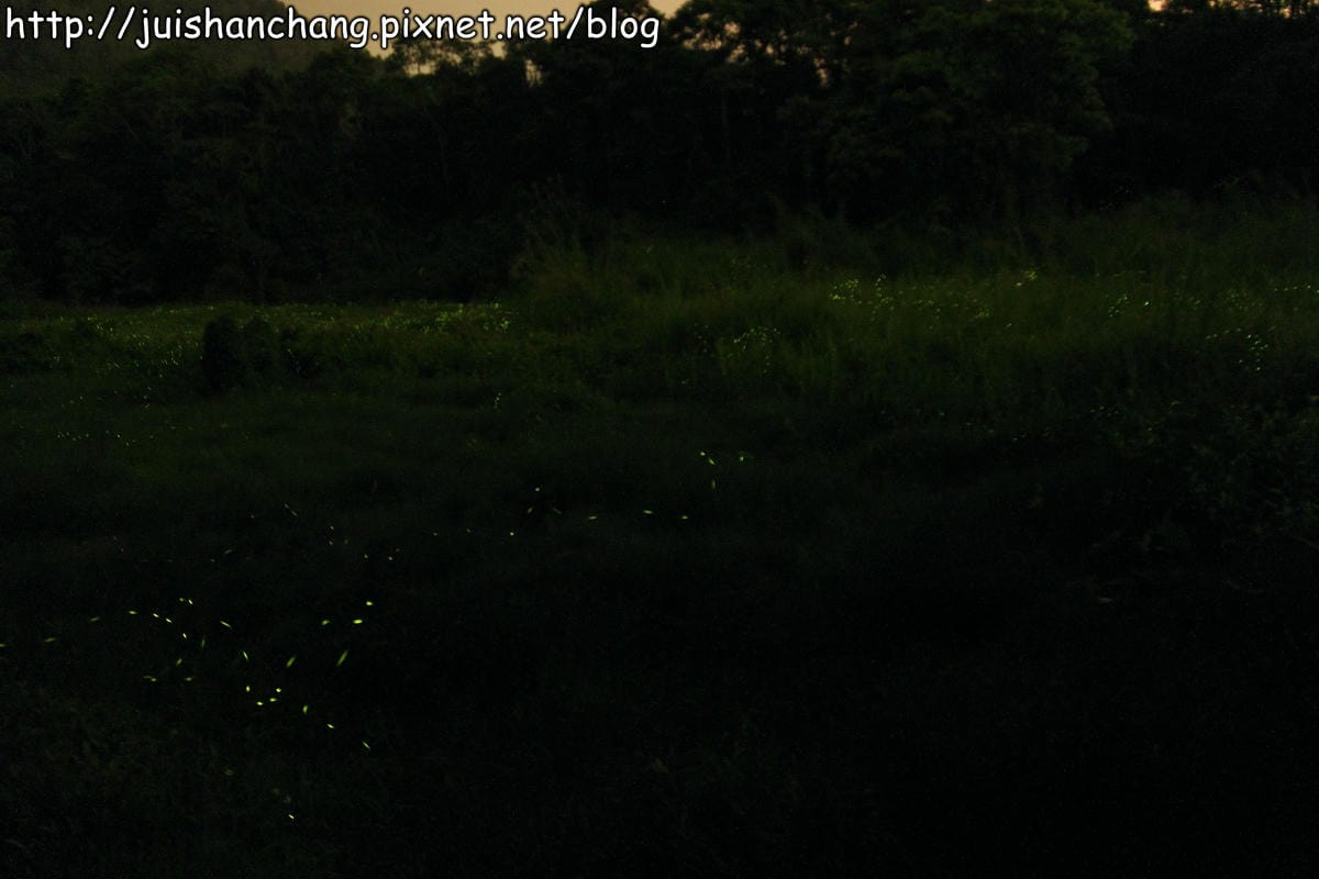 【遊記—2014全台螢火蟲季】牛伯伯生態蝴蝶園VS草湳濕地～螢光趴踢攤！