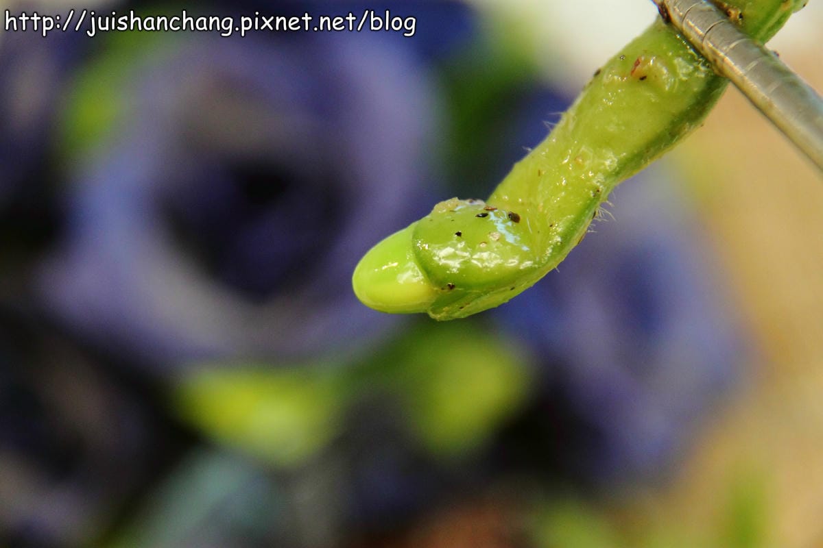 【廣宣—團購】小確幸滷味～配啤酒的好選擇