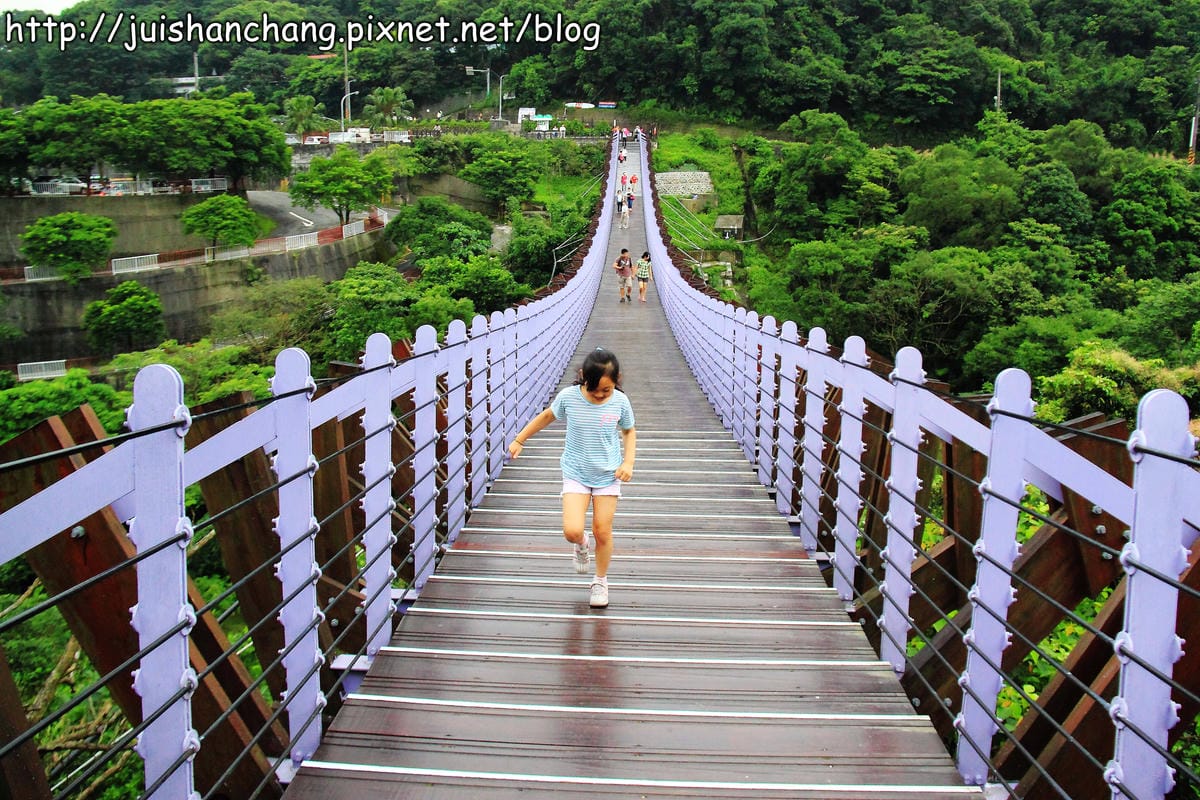 【遊記—台北內湖】白石湖吊橋遇見百合花（5/31花況）