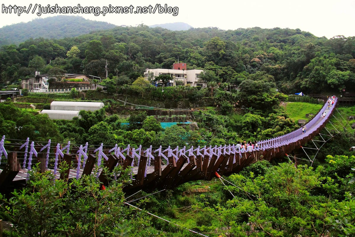 【遊記—台北內湖】白石湖吊橋遇見百合花（5/31花況）