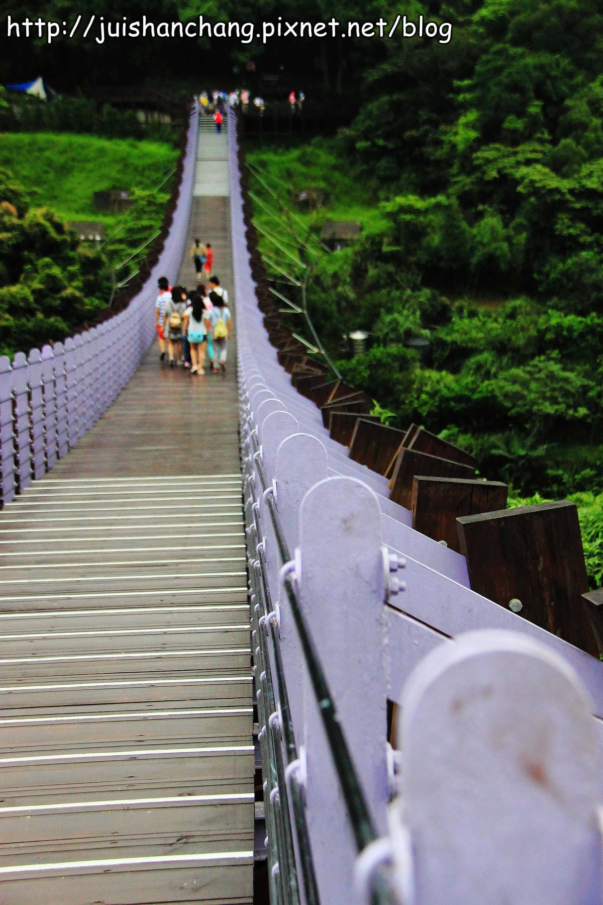 【遊記—台北內湖】白石湖吊橋遇見百合花（5/31花況）