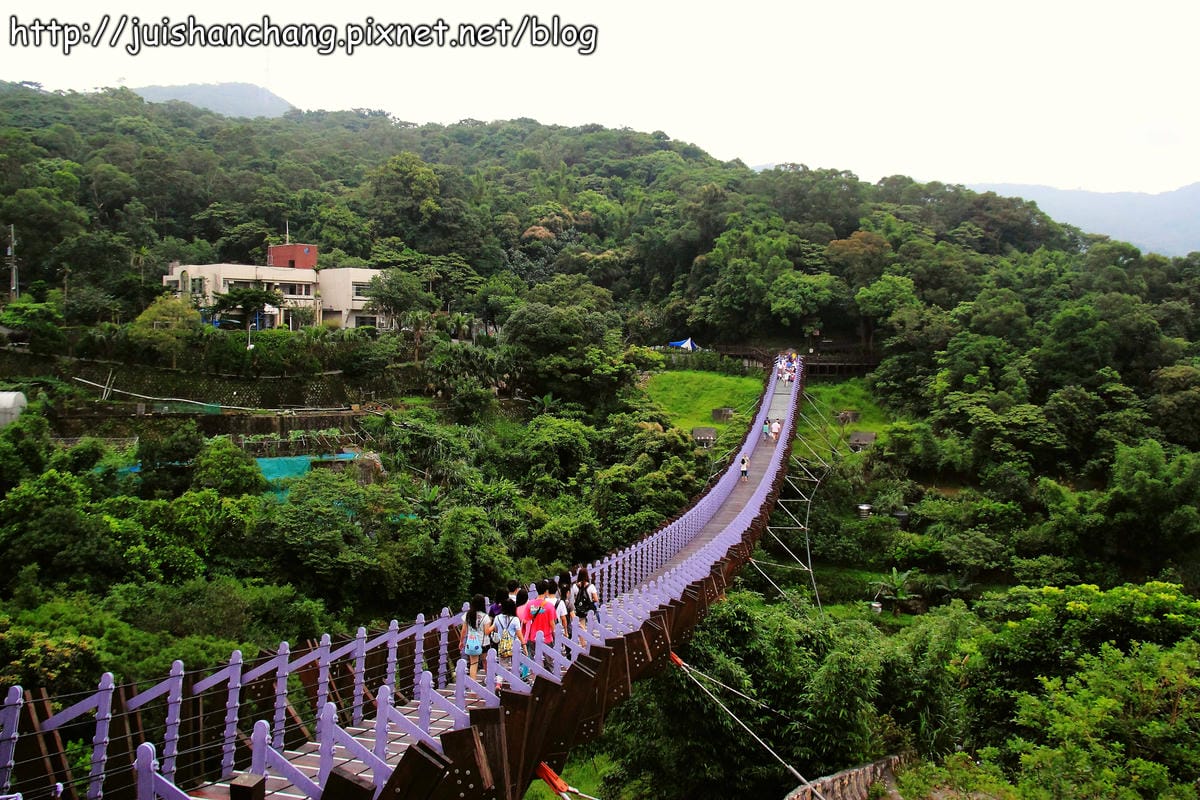 【遊記—台北內湖】白石湖吊橋遇見百合花（5/31花況）